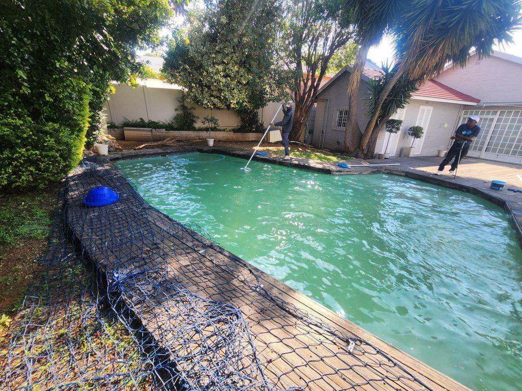 once off pool clean n norwood