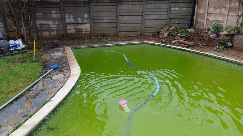 green pool water