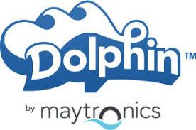 dolphin pool 