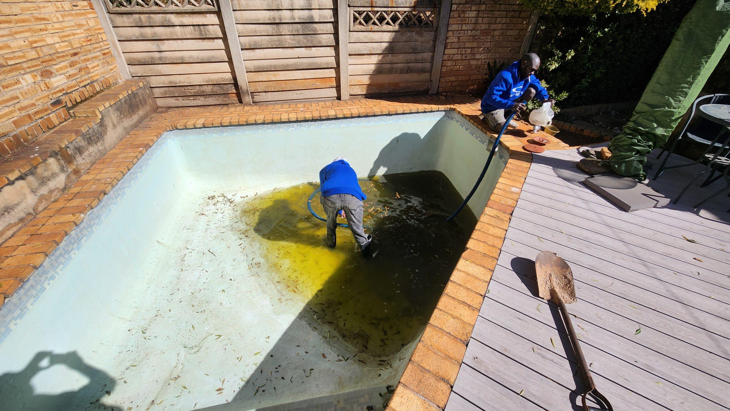 Pool company Sandton