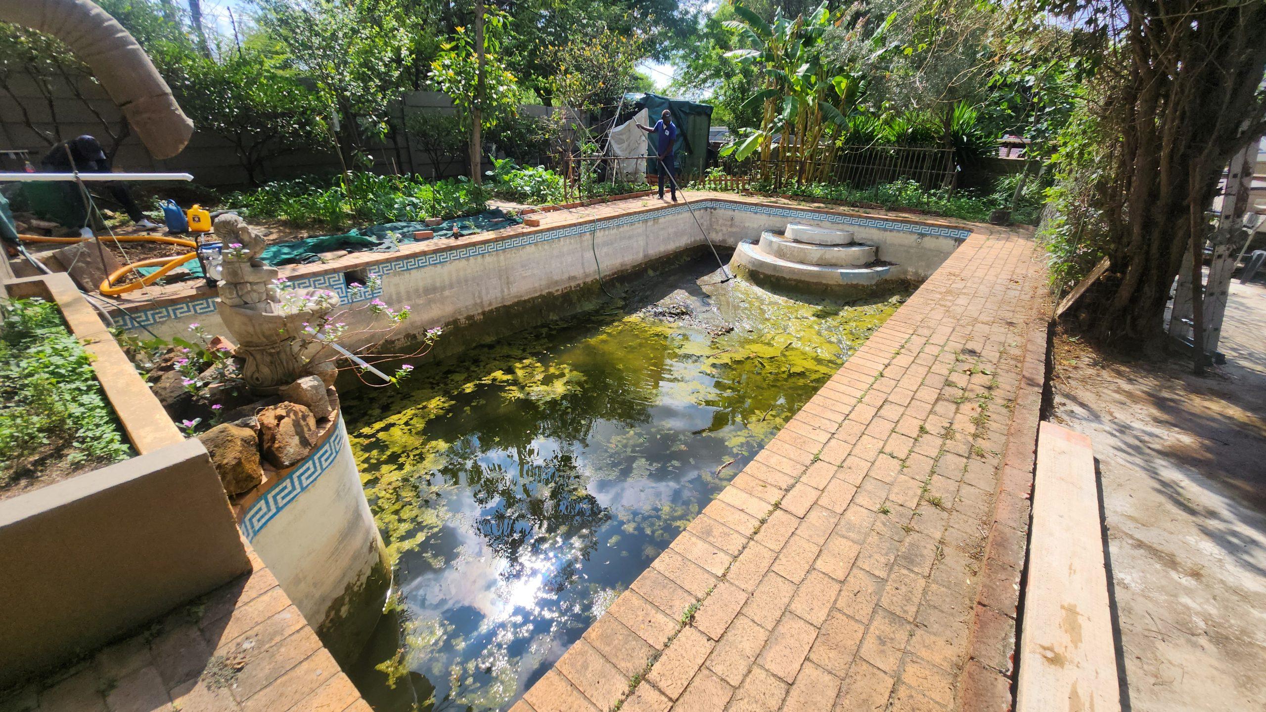 pool company Gallo Manor