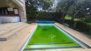pool cleaning service