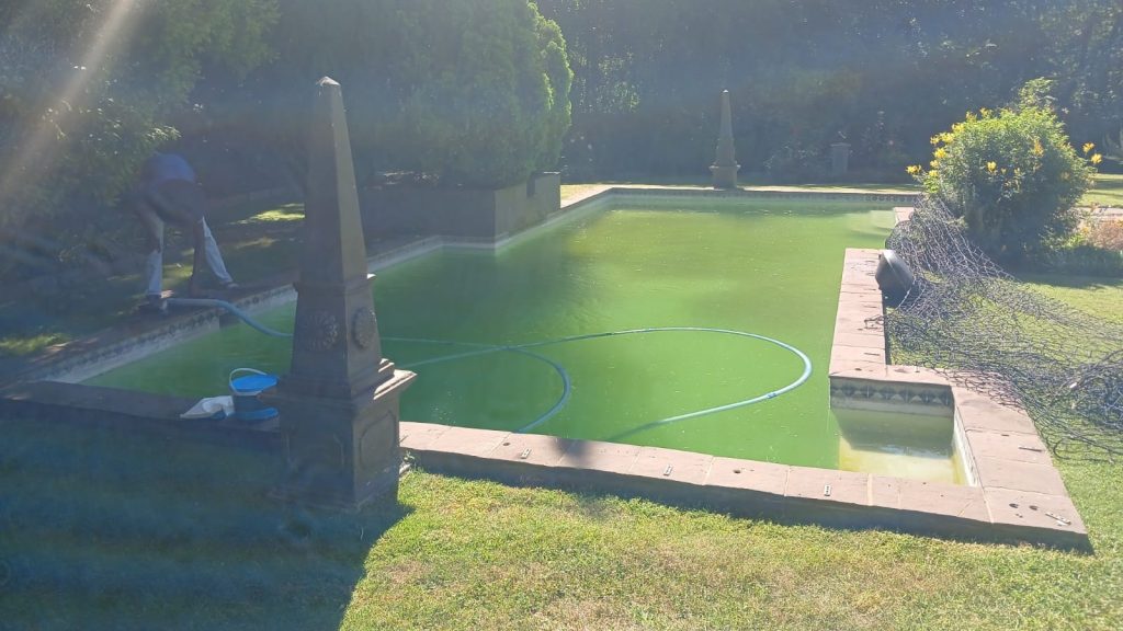 Pool Cleaning Services Pool Cleaning Services
